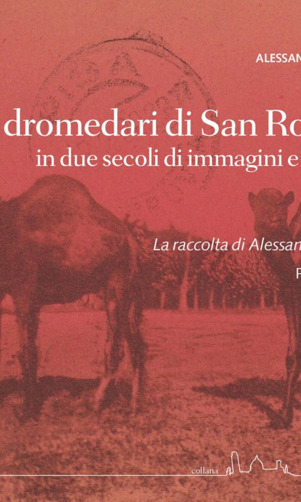 dromedari di san rossore in due secoli di immagini e scritti (i)