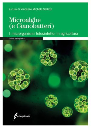 Microalghe (e cianobatteri). I microrgan