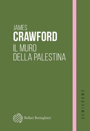 il muro della palestina