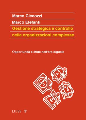 gestione strategica e controllo nelle organizzazioni complesse. opportunità e sfide nell'era digitale