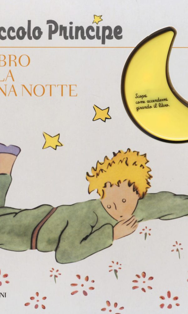 LIBRO DELLA BUONA NOTTE (IL)