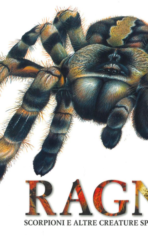 ragni, scorpioni e altre creature spaventose. ediz. illustrata