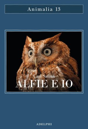alfie e io. quello che i rapaci sanno, quello che gli umani credono
