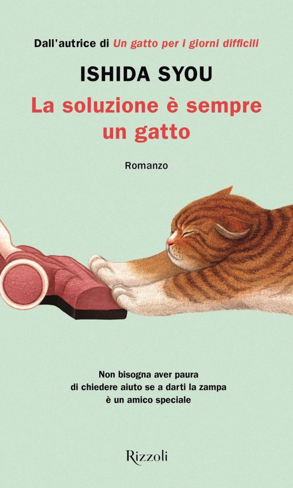 soluzione è sempre un gatto