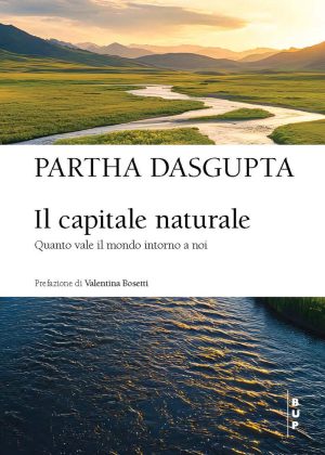 capitale naturale. quanto vale il mondo intorno a noi (il)