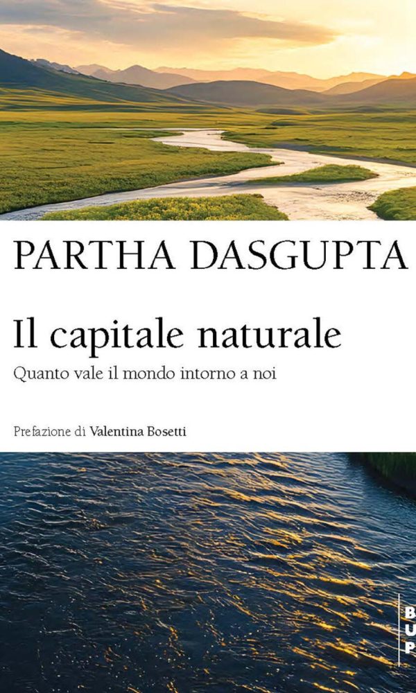 capitale naturale. quanto vale il mondo intorno a noi (il)