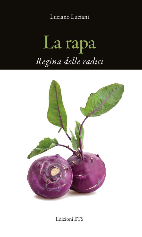 La rapa. Regina delle radici