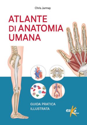 atlante di anatomia umana. guida pratica illustrata. ediz. illustrata