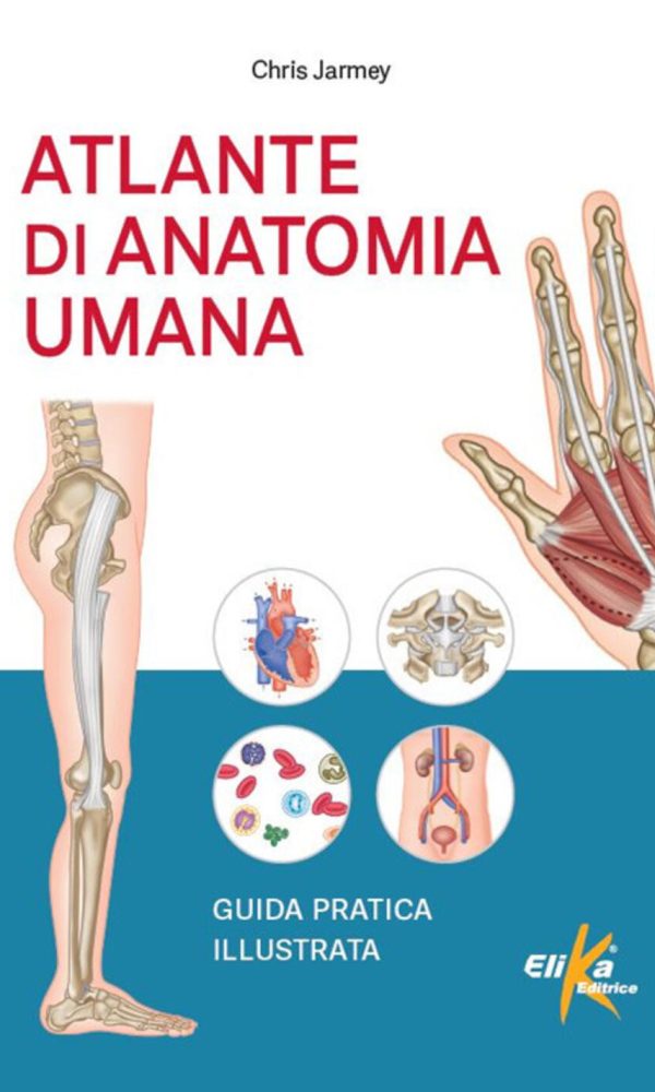 atlante di anatomia umana. guida pratica illustrata. ediz. illustrata