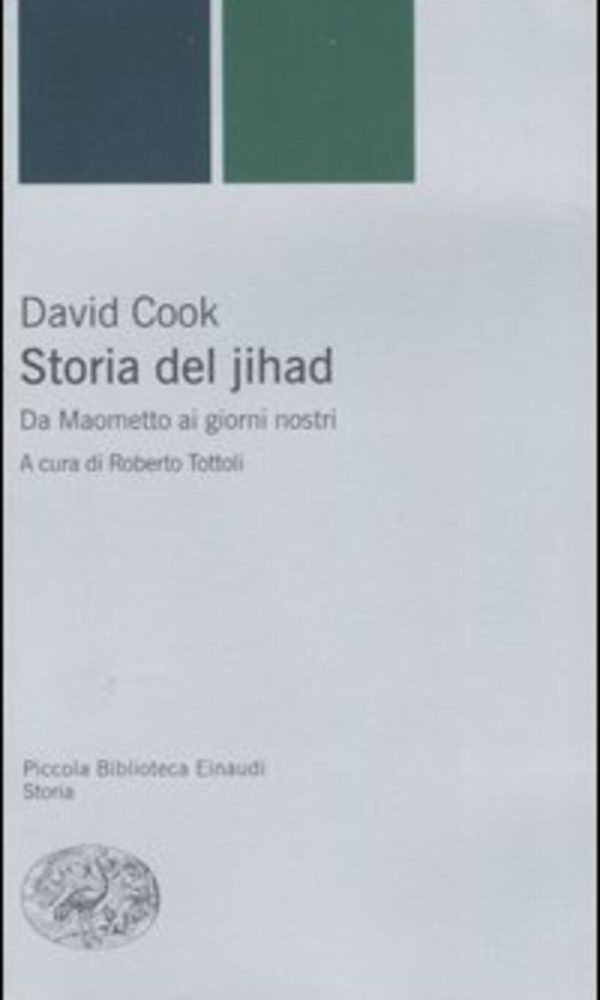 Storia del jihad. Da Maometto ai giorni