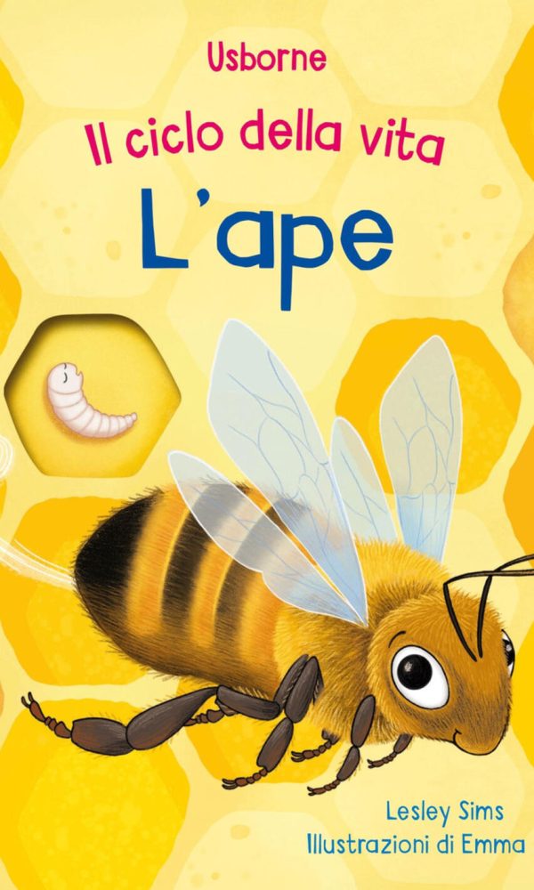 ape. ediz. a colori (l')