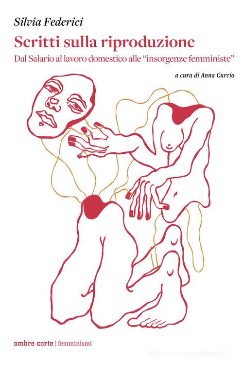 scritti sulla riproduzione. dal salario al lavoro domestico alle «insorgenze femministe»