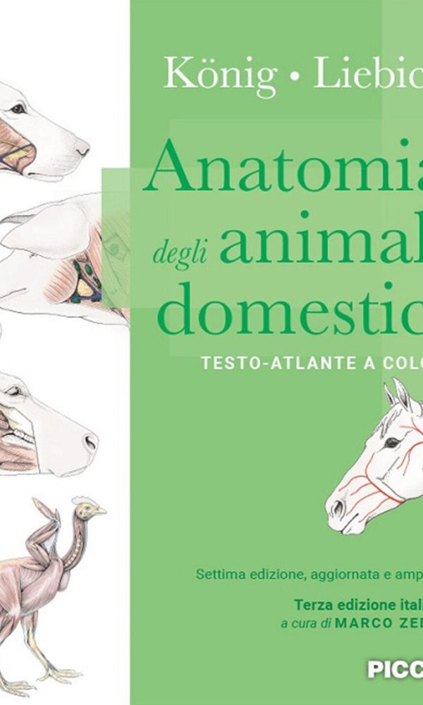 anatomia degli animali domestici. testo-atlante a colori