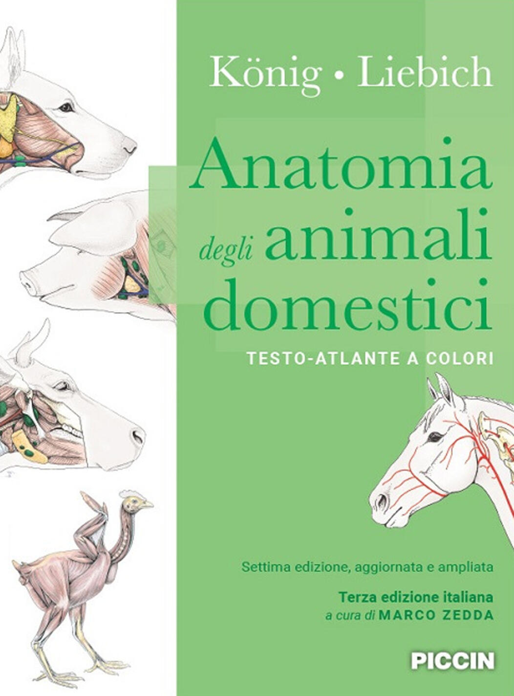 anatomia degli animali domestici. testo-atlante a colori