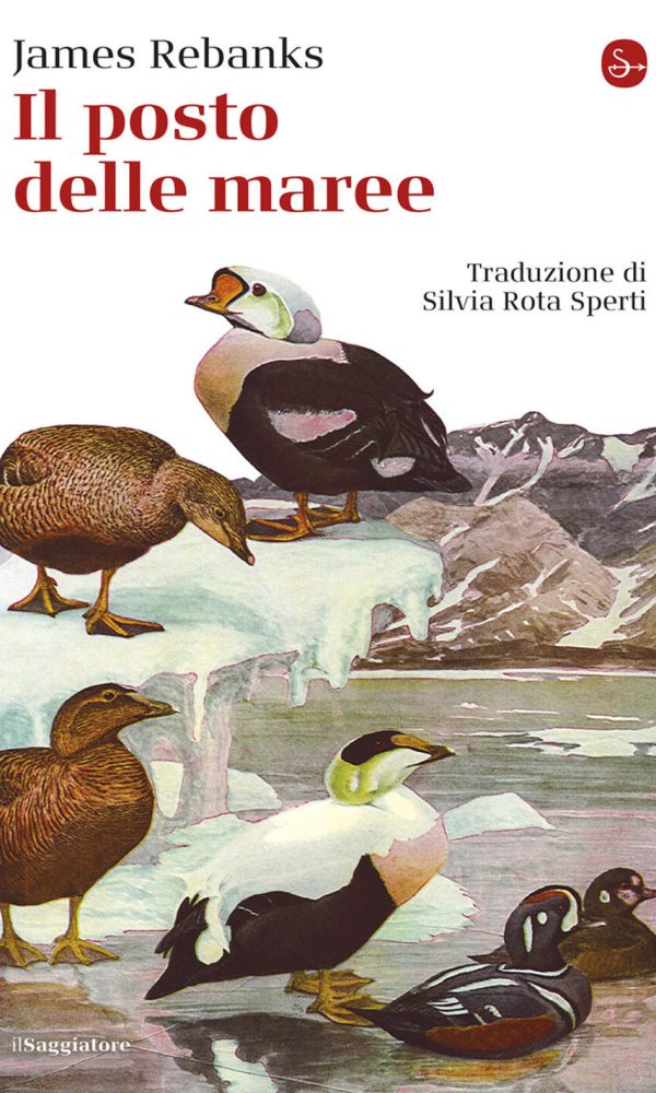 Posto Delle Maree (il)