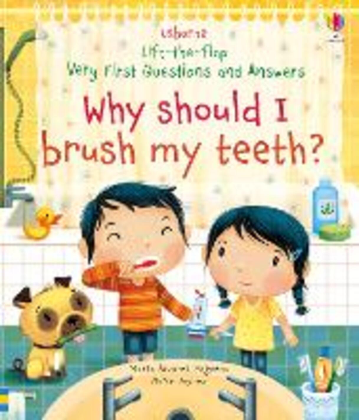 Why Should I Brush My Teeth? (Very First Lift-the-Flap Questions and Answers): 1 (Very First Questions and Answers)
