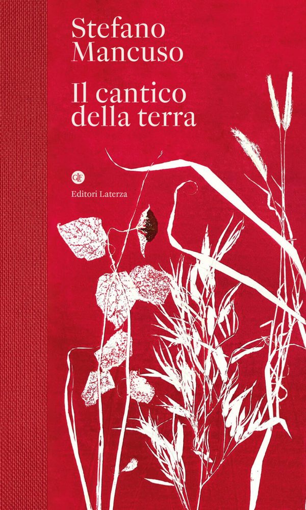 cantico della terra (il)
