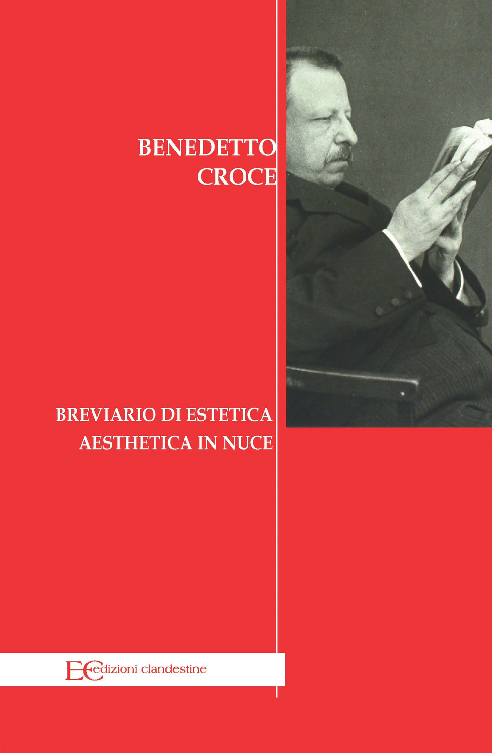 breviario di estetica-aesthetica in nuce