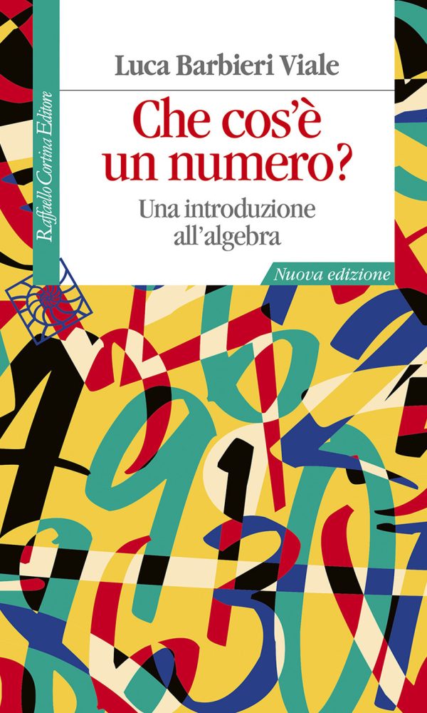 che cos'è un numero? una introduzione all'algebra. nuova ediz.