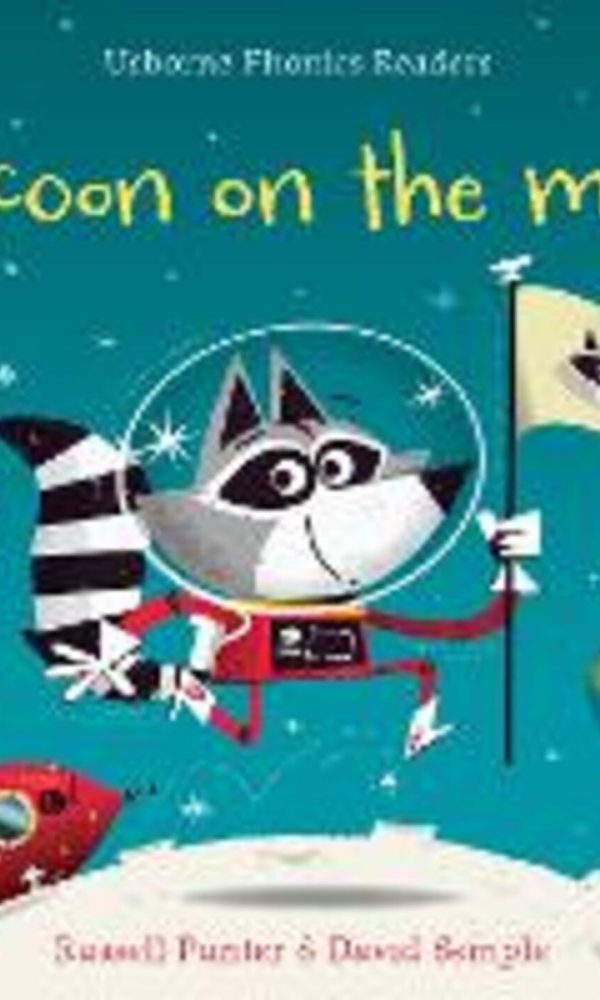 RACCON ON THE MOON